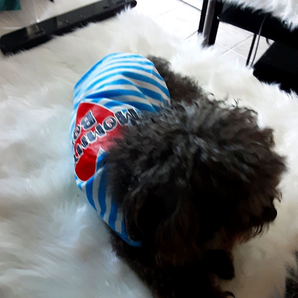Pet Shirt